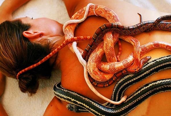 Необычные спа-процедуры_змеиный массаж